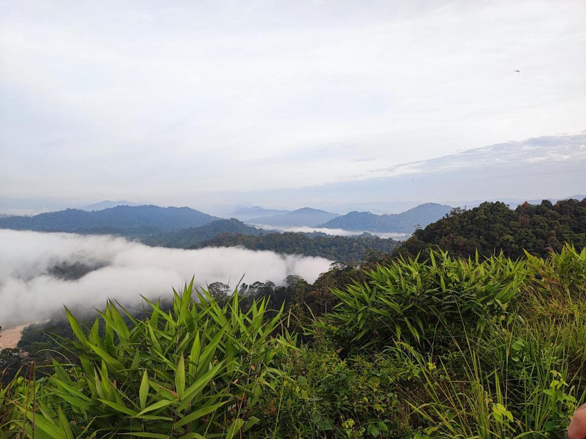 Tekoma Resort Taman Negara Kuala Tahan Dış mekan fotoğraf