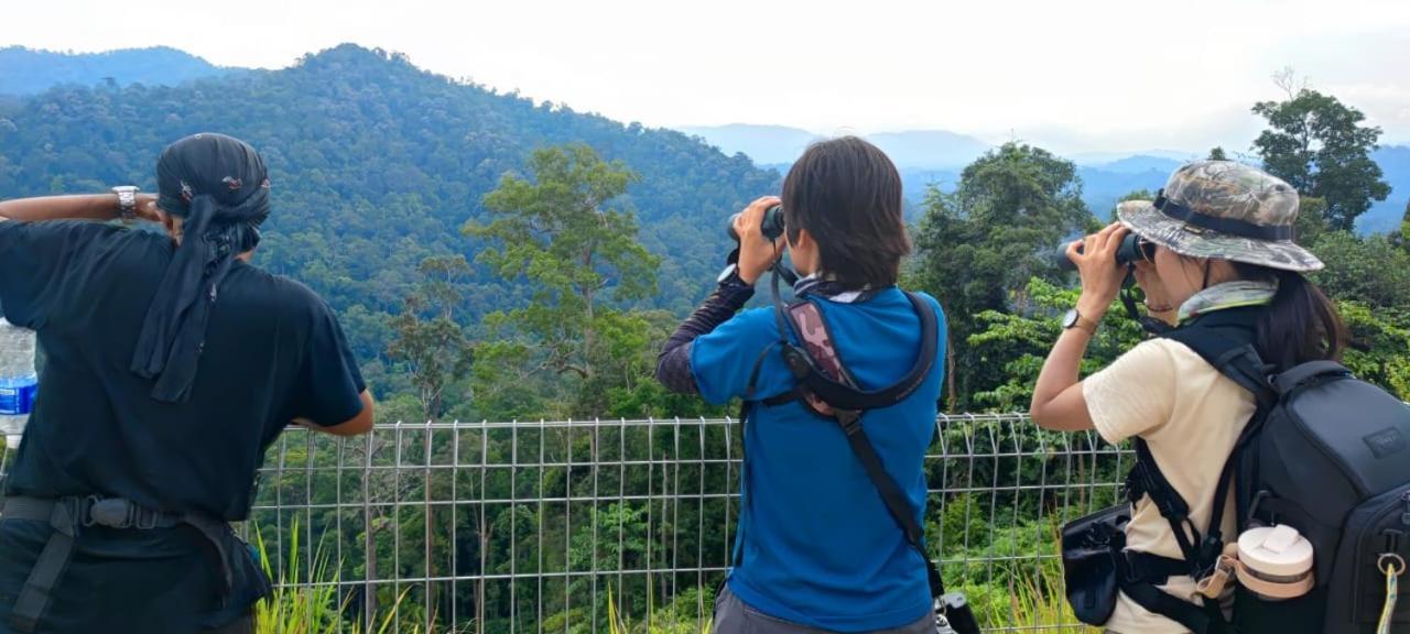 Tekoma Resort Taman Negara Kuala Tahan Dış mekan fotoğraf